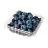 blueberry-organico